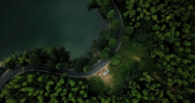 A rented car driving through the forest roads