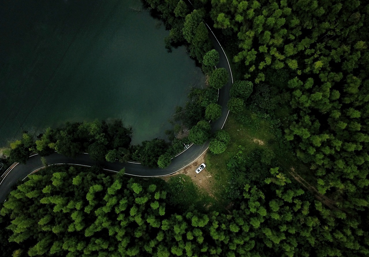 A rented car driving through the forest roads